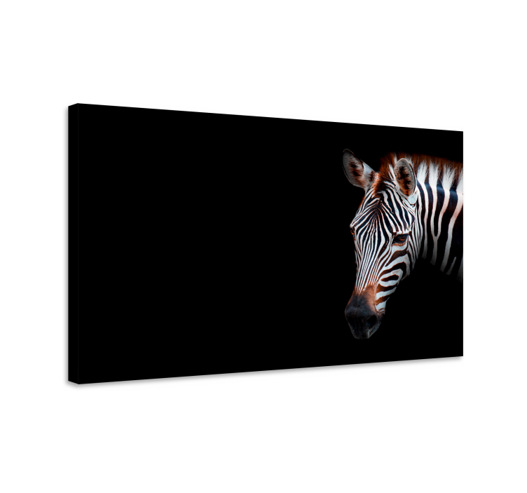 Zebra lähikuva eläin canvas taulu - Tenstickers
