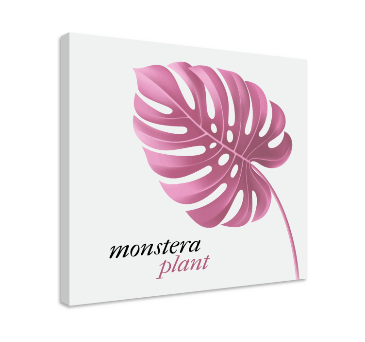 Monstera kasvi canvas taulu - Tenstickers