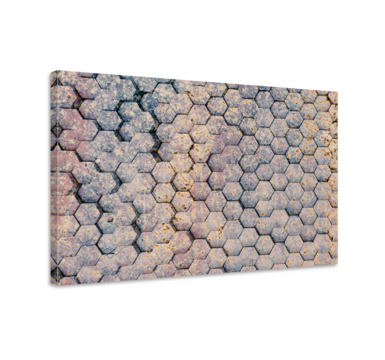 Hexagonaalinen kuvio geometrinen canvas taulu - Tenstickers