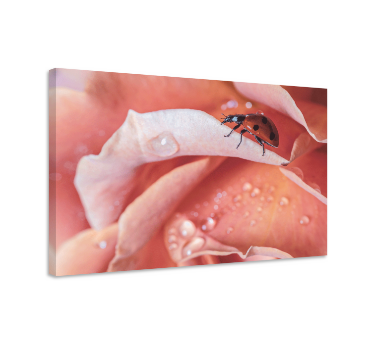 Leppäkerttu ruusussa kukka ja kasvi canvas taulu - Tenstickers