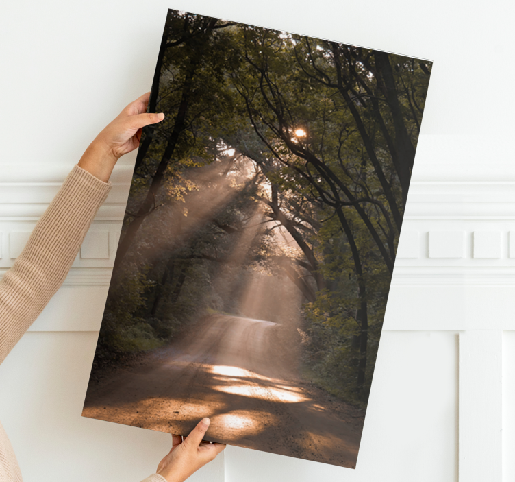 Auringonpaiste metsäpolku maisema canvas taulu - Tenstickers