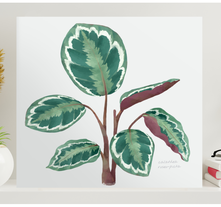 Calathea-kasvi kasvi canvas - Tenstickers