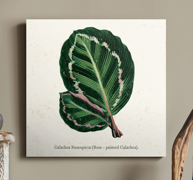Calathea-lehtikuva kasvi canvas - Tenstickers