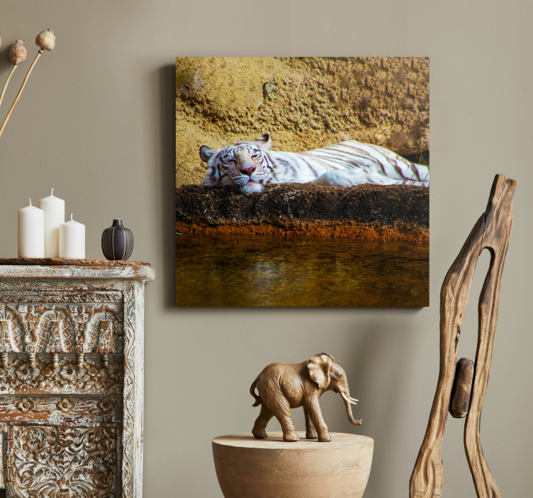 Tiikeri lepää Muut eläimet canvas - Tenstickers