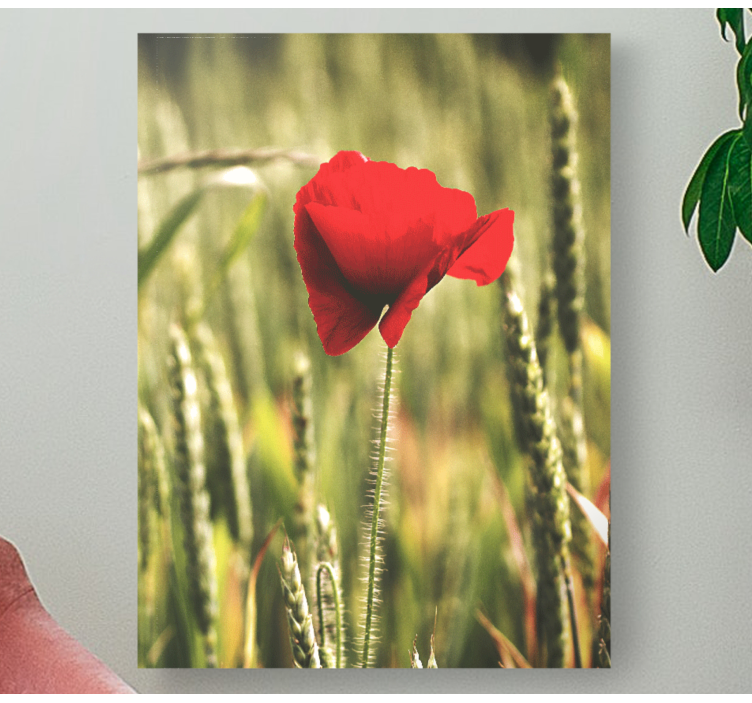 Yksi unikko vehnällä canvas taulu kukka - Tenstickers