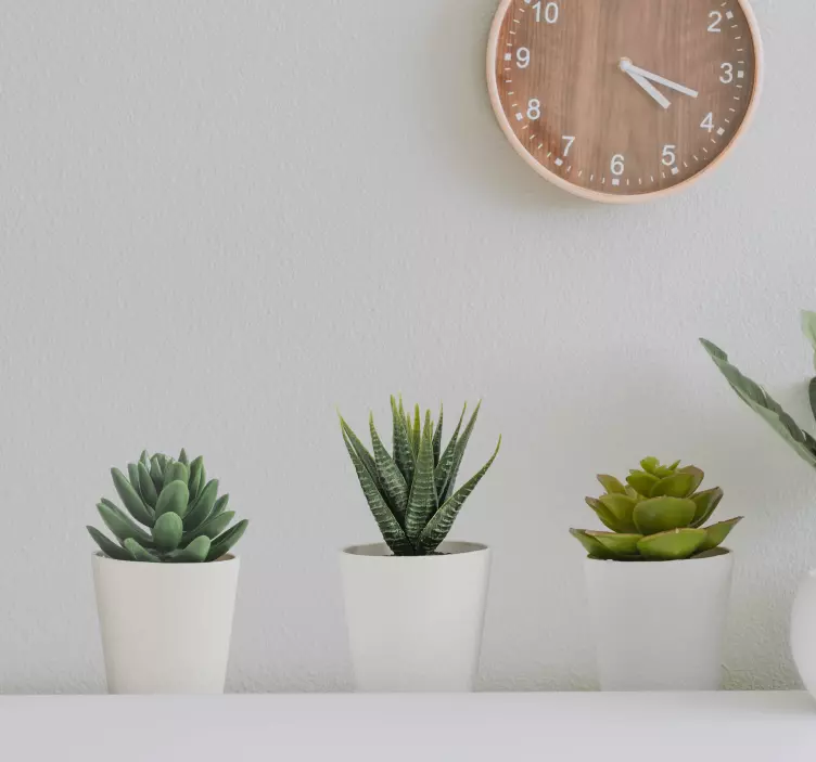 3d kaktusruukkujen valokuvatapettitarrat - Tenstickers