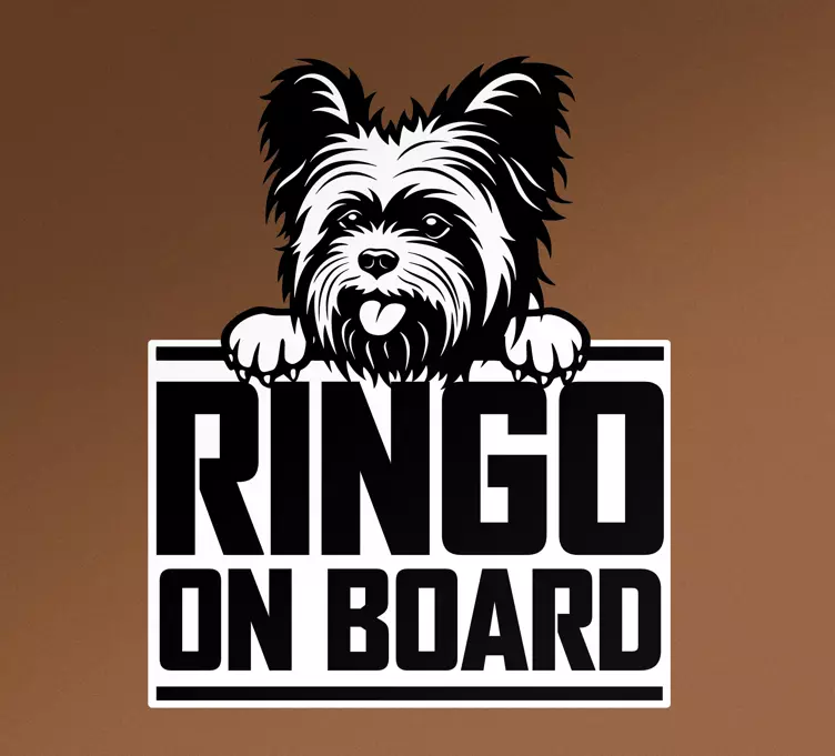 Mukava yorkshiren koira kurkistaa autotarrat - Tenstickers