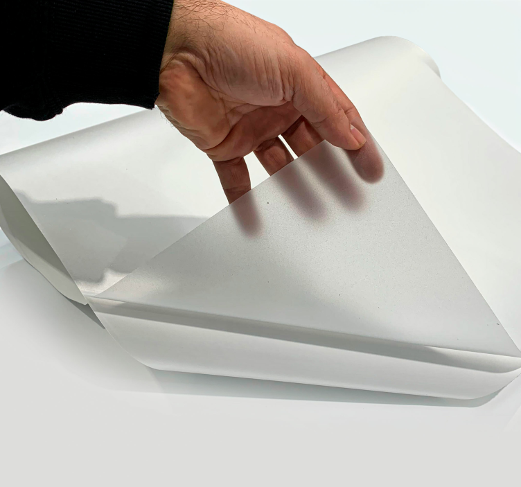 Läpikuultava harmaa ikkunatarra - Tenstickers