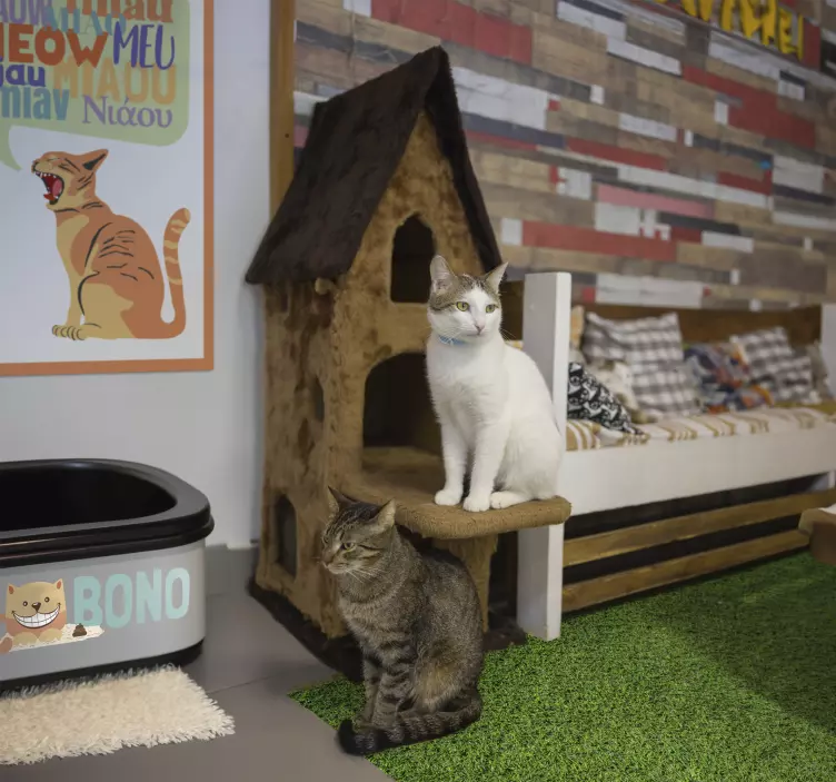 Kissanhiekkalaatikko kissa ja koiratarra - Tenstickers