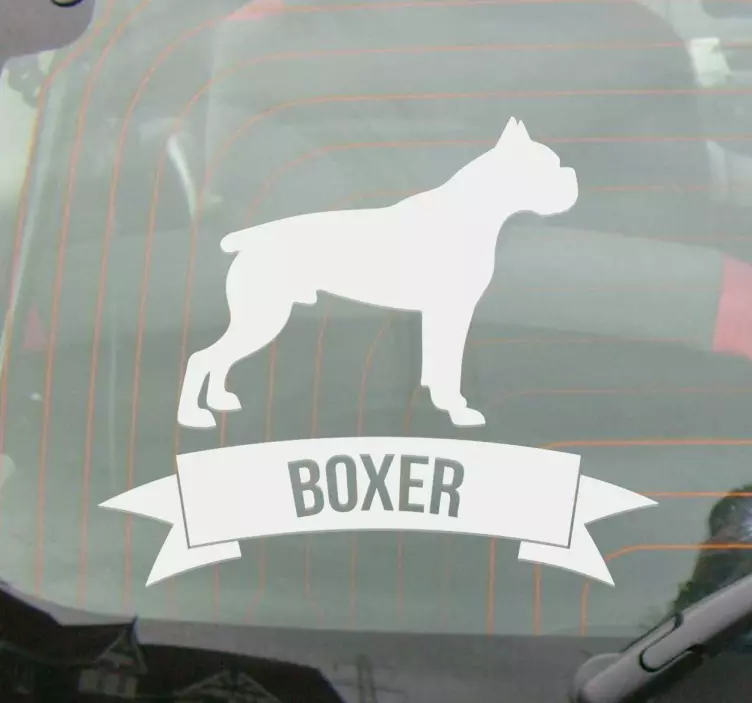 Boxer Sisustustarra - Tenstickers