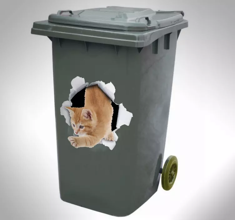 Kissa trompe l'oeil kontti tarra - Tenstickers