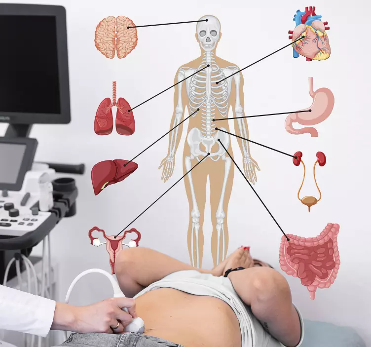 Lääketieteelliset infografiset seinätarrat - Tenstickers