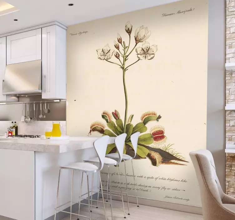 Vanha kasvitiede kukka tarra - Tenstickers