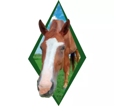 Hevospää maatilaeläin tarra - Tenstickers
