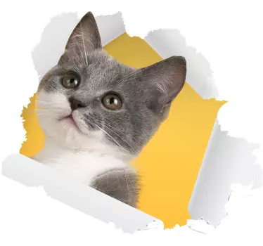 3d kissan tarran seinäkoriste - Tenstickers