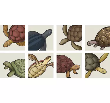 Erilaisia kilpikonnien laattojen siirtoa - Tenstickers