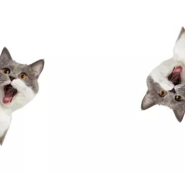 Kissa vakoilee valkoisella pohjalla Läppäritarrat - Tenstickers