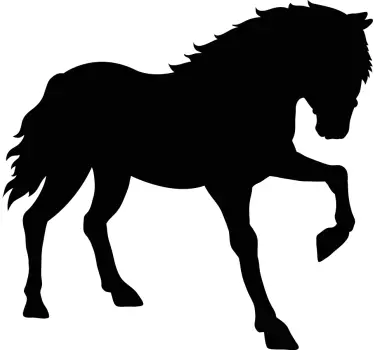 Hevonen katselee alaspäin Seinätarrat - Tenstickers