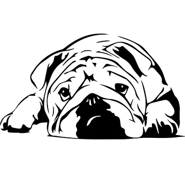 Bulldog Sisustustarra - Tenstickers