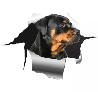Rottweiller-aukon tarra lemmikki tarra - Tenstickers