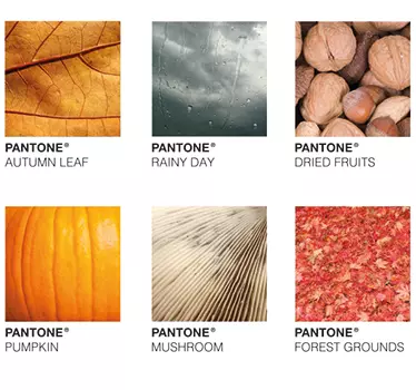 Syksyn pantone - Tenstickers