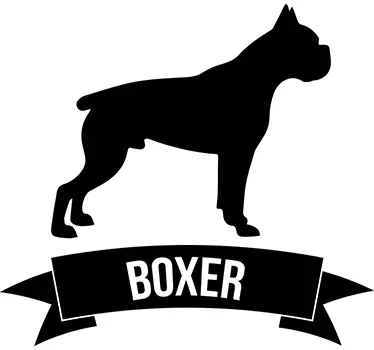 Boxer Sisustustarra - Tenstickers