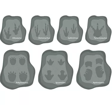 Dinosauruksen jalanjäljet lasten tarra - Tenstickers