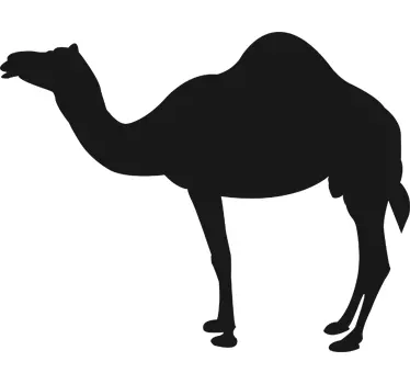 Kamelin siluetti -taulu tarra - Tenstickers