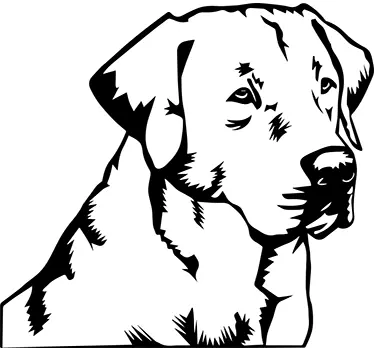 Labradorinnoutaja Sisustustarra - Tenstickers