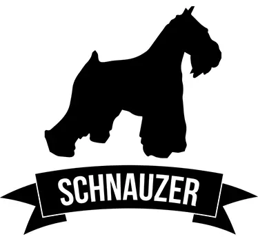 Schnauzer Sisustustarra - Tenstickers