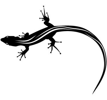 Väri salamander lizard tarra eläinten seinä tarra - Tenstickers