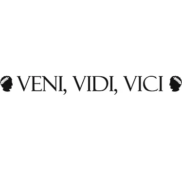 Veni vidi vici suositut sanonnat tekstitarrat - Tenstickers