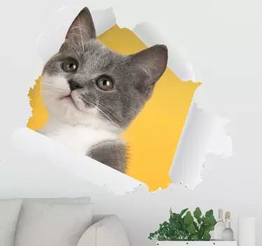 3d kissan tarran seinäkoriste - Tenstickers
