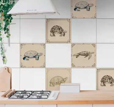 Erilaiset kilpikonnat beigellä taustalla kaakelitarrat - Tenstickers