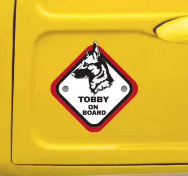 Belgialainen paimen vauva autotarrassa - Tenstickers