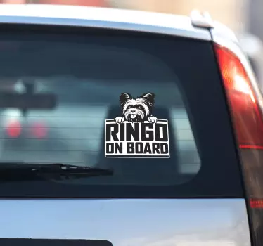 Mukava yorkshiren koira kurkistaa autotarra - Tenstickers