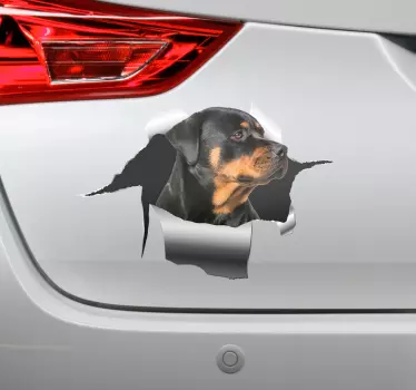 Rottweiller-aukon tarra lemmikki tarra - Tenstickers