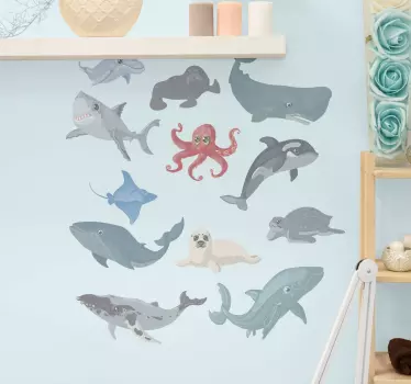 Valas delfiinihain kilpikonna Kalatarrat - Tenstickers