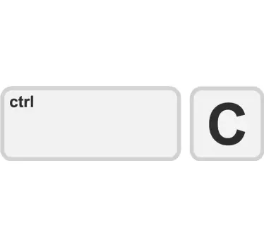 "Copy" ja "Paste" isälle ja pojalle samanlaiset paidat - Tenstickers