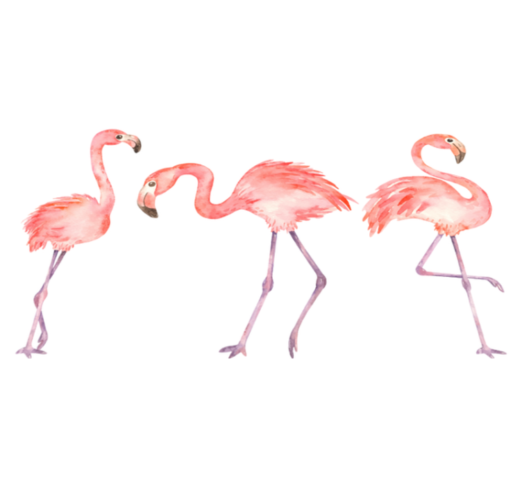 Elegant flamingo kolmikko eläin vinyylimatto - Tenstickers