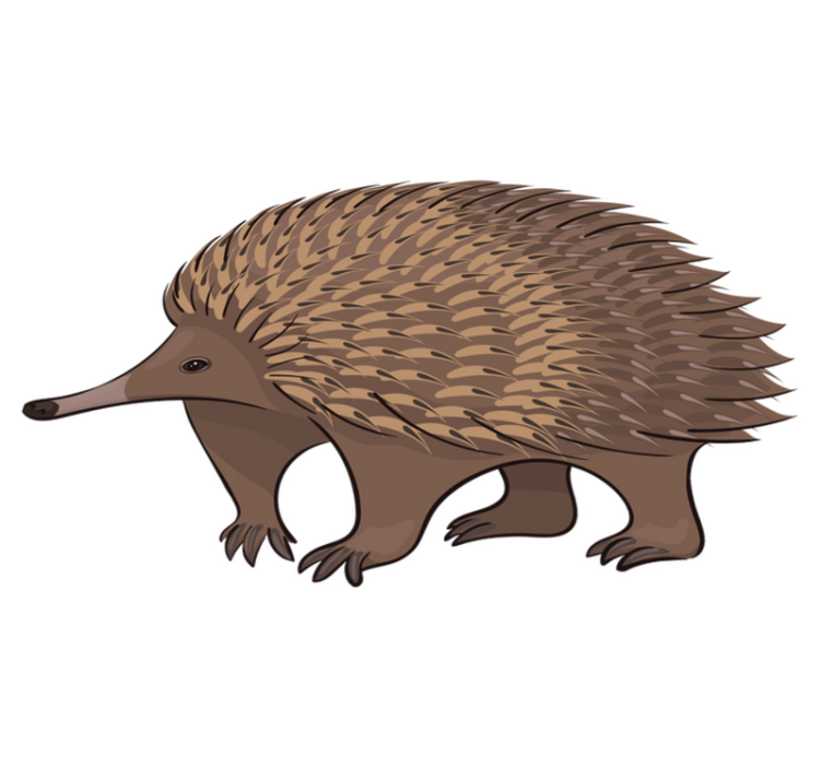 Ystävällinen siili vinyylimatto - Tenstickers