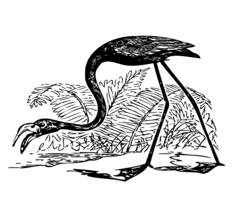 Flamingo ja saniaiset eläin vinyylimatto - Tenstickers