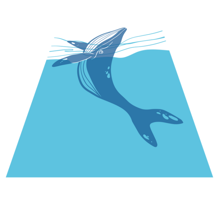 Kylpyhuoneen vinyylimattovalashampooohjaustarrat - Tenstickers