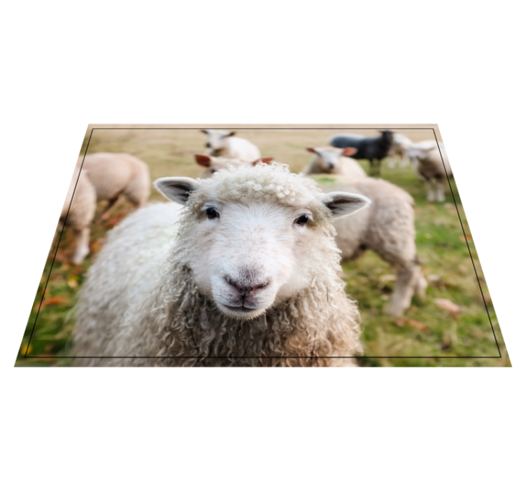 Kiharat lampaan kasvot eläin vinyylimatto - Tenstickers