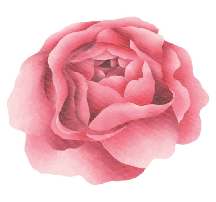 Pinkki ruusu Luonto vinyylimatto - Tenstickers