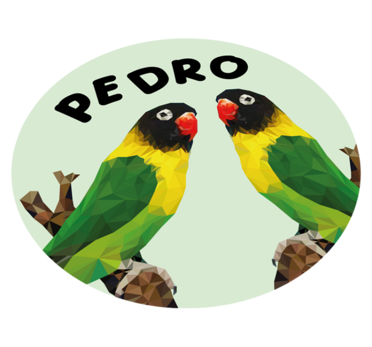 Mukautettavat rakaslinnut nimi vinyylimatto - Tenstickers