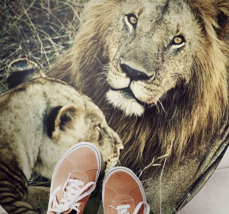 Leijona ja leijona eläin vinyylimatto - Tenstickers