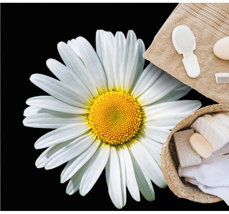 Päivänkakkara kukka kukat ja kasvit vinyylimatto - Tenstickers