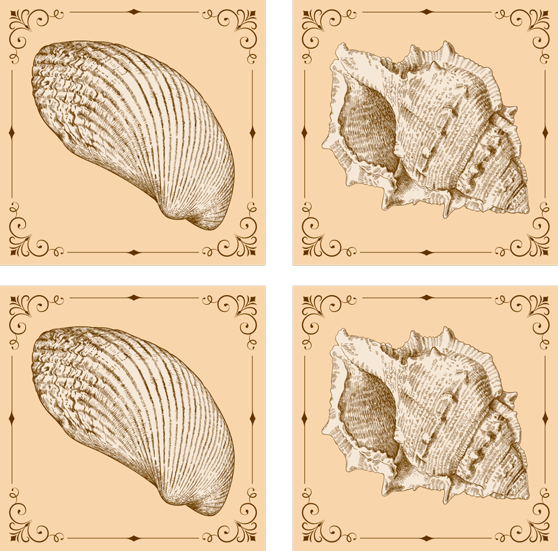 Vintage merikurkut eläin vinyylimatto - Tenstickers