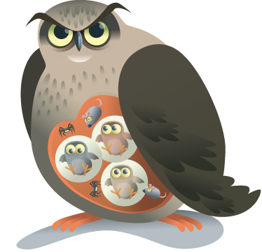 Äidin pöllö eläin vinyylimatto - Tenstickers